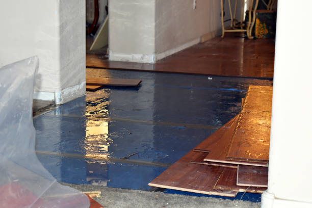 Professional Sewage Cleanup technician working in Sloan, IA
